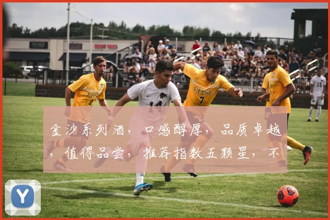 金沙系列酒，口感醇厚，品质卓越，值得品尝，推荐指数五颗星，不容错过