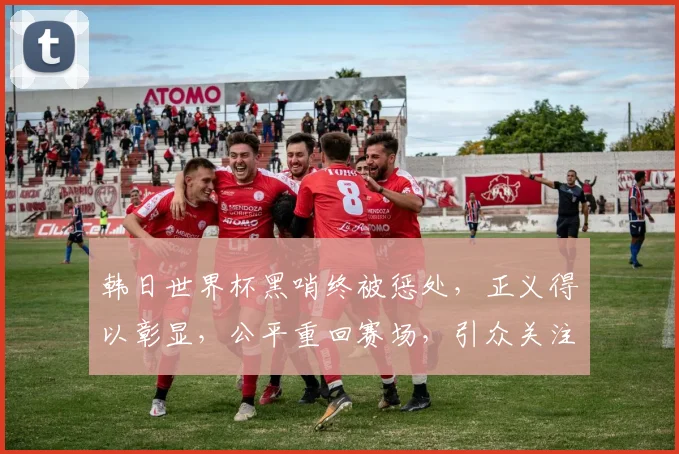 韩日世界杯黑哨终被惩处，正义得以彰显，公平重回赛场，引众关注。